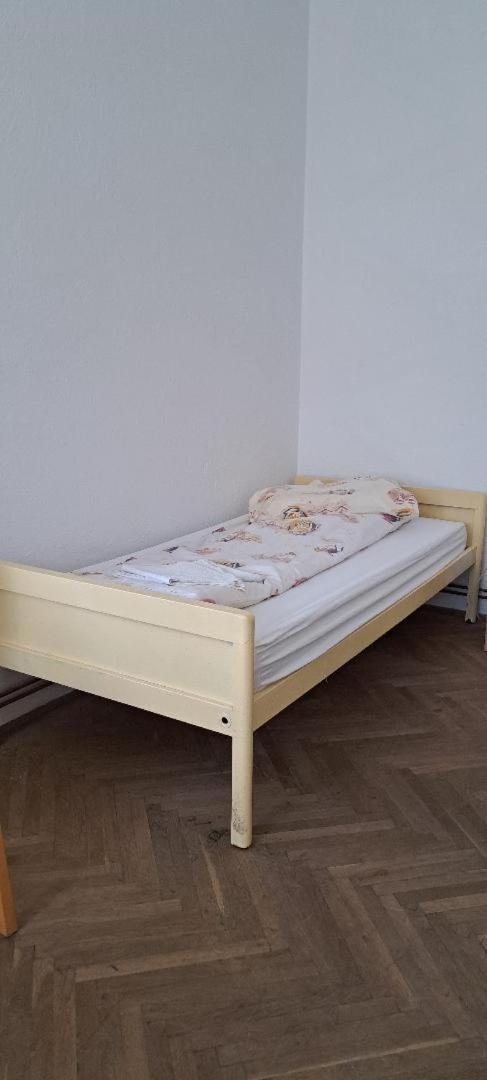 Gaestehaus Făgăraş Eksteriør billede